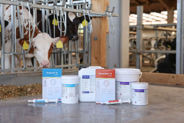 KERBL Probicol-K Paste